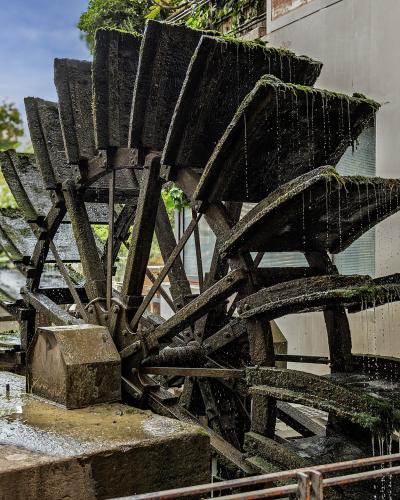 A close-up view of a large, moss-covered wooden water wheel situated next to a building and a canal, with water dripping from its paddles.