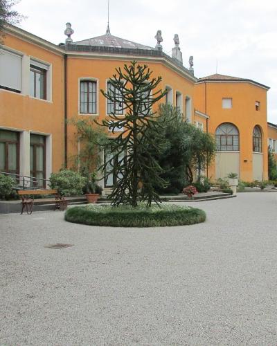 The image shows a gravel courtyard with a distinctive orange-yellow building featuring classical architectural details, statues on the roofline, and a central circular planter with a tall, spiky succulent-like plant; a person in a wheelchair is vi