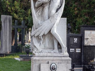A white marble funerary monument featuring a sculpted angel embracing a deceased figure, with the surname "SCHIavi" inscribed on the base, set within a grassy cemetery with other tombs and trees in the background.