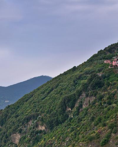 A steep, green hillside descending to the Ligurian Sea with a cluster of colorful houses on the slope and a distant headland under an overcast sky.