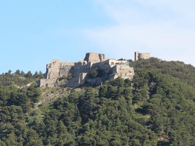A stone medieval fortress complex situated on a densely forested hilltop under a clear blue sky, with no visible signage or text.