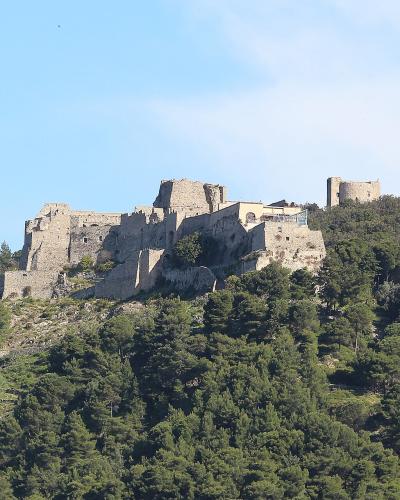 A stone medieval fortress complex situated on a densely forested hilltop under a clear blue sky, with no visible signage or text.