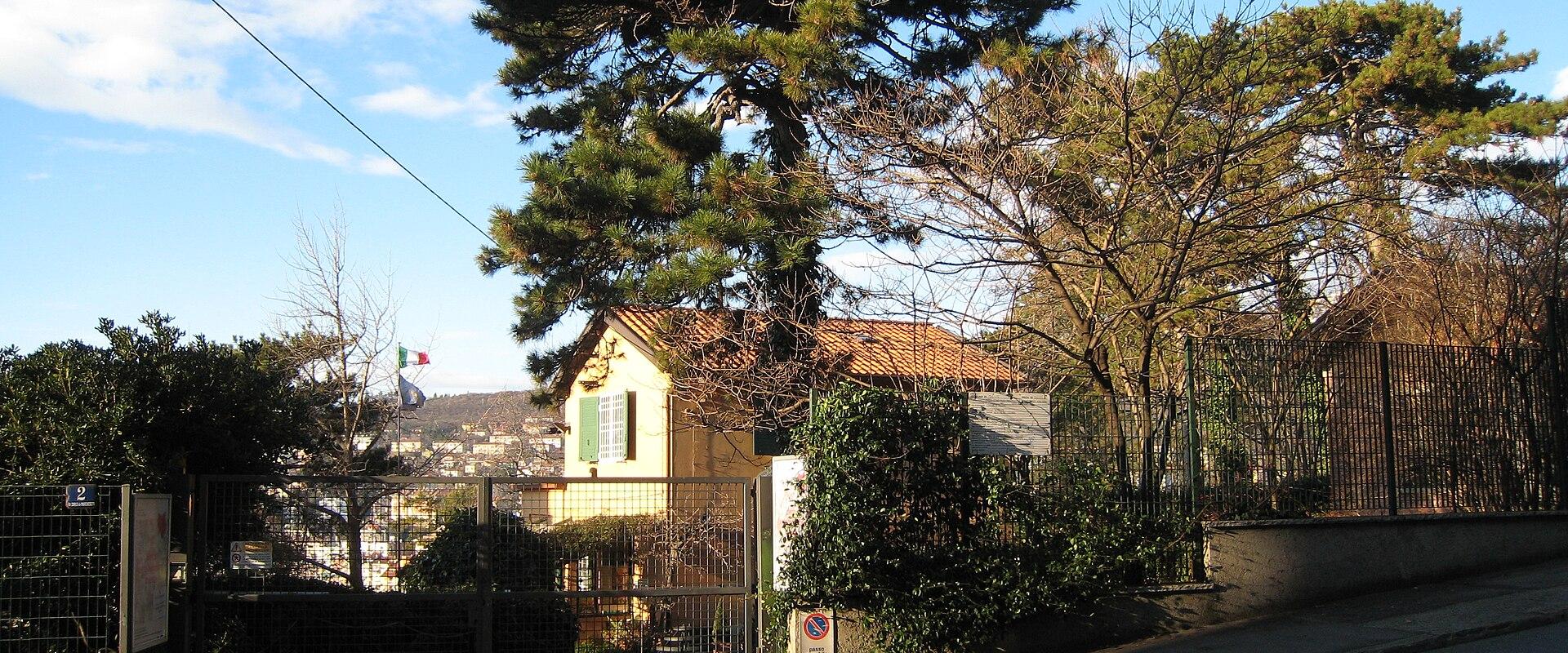 Orto Botanico di Trieste