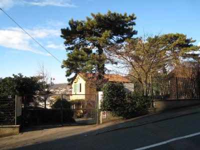 A street-level view of a gated entrance to a property on a hillside, featuring a yellow building with green shutters, large pine trees, an Italian flag, and a distant cityscape under a blue sky.