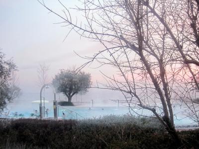 An outdoor thermal pool with visible steam rising from the water, surrounded by bare trees and shrubs, with people swimming and a metal shower fixture visible on the left.