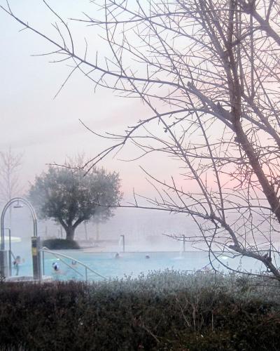 An outdoor thermal pool with visible steam rising from the water, surrounded by bare trees and shrubs, with people swimming and a metal shower fixture visible on the left.