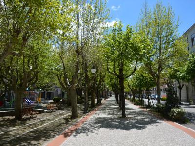A tree-lined pedestrian promenade with cobblestone paving, benches, and a playground area on the left, under a clear blue sky.