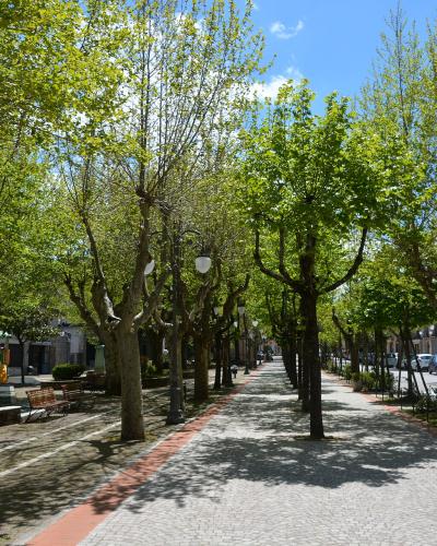 A tree-lined pedestrian promenade with cobblestone paving, benches, and a playground area on the left, under a clear blue sky.