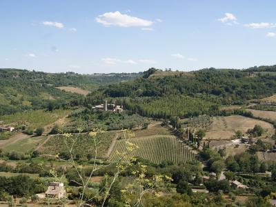A wide landscape view of the Italian countryside featuring rolling hills, vineyards, and a medieval abbey complex with a prominent bell tower situated in the middle distance.