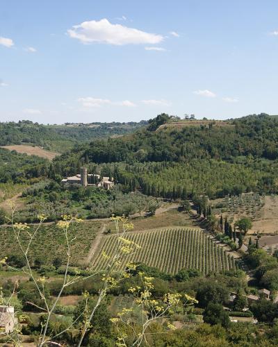 A wide landscape view of the Italian countryside featuring rolling hills, vineyards, and a medieval abbey complex with a prominent bell tower situated in the middle distance.