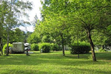 A grassy, tree-lined campsite with a white caravan parked under the trees, people standing nearby, and green foliage surrounding the area.