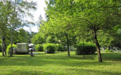 A grassy, tree-lined campsite with a white caravan parked under the trees, people standing nearby, and green foliage surrounding the area.