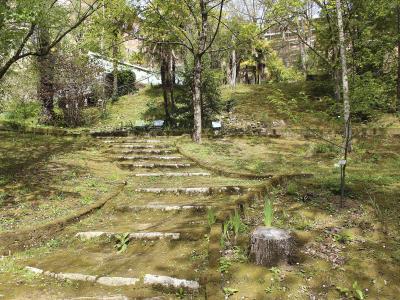 A moss-covered, winding stone path ascends a grassy, wooded hillside dotted with small informational plaques and young plants, with buildings visible in the background through the trees.