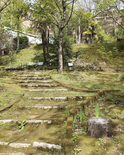 A moss-covered, winding stone path ascends a grassy, wooded hillside dotted with small informational plaques and young plants, with buildings visible in the background through the trees.