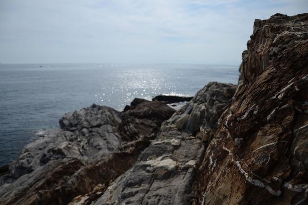 Giardini di Nervi
