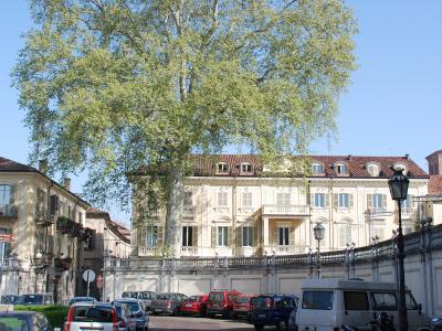 The image shows a large, pale yellow neoclassical building with a red-tiled roof and a prominent balcony, partially obscured by a tall, leafy tree, situated behind a low stone wall and a cobblestone parking area with several cars and scooters.