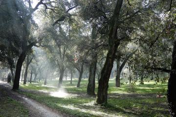 Urban Parks in Assisi