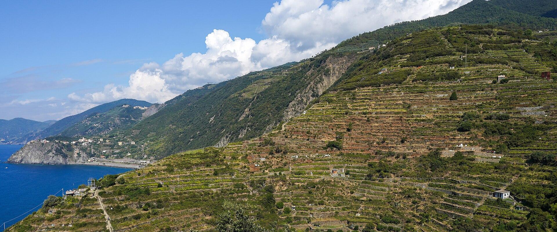 Gardens of Manarola