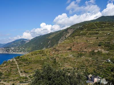 A wide landscape view of steep, terraced vineyards on a coastal hillside overlooking the blue sea, with a small village visible in the lower right and distant mountains across the water.