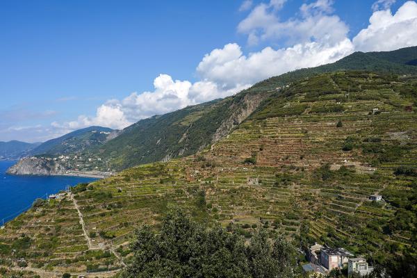 Gardens of Manarola