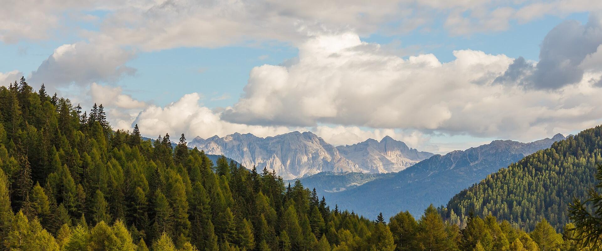A panoramic landscape showing dense coniferous forests in the foreground and midground, with rugged, rocky mountain peaks rising in the background under a partly cloudy sky; no visible signage, people, or man-made structures.