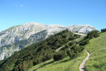 A sunlit mountain landscape featuring a narrow dirt hiking trail winding up a grassy slope dotted with low evergreen shrubs, leading toward a prominent, rugged limestone mountain peak under a clear blue sky.