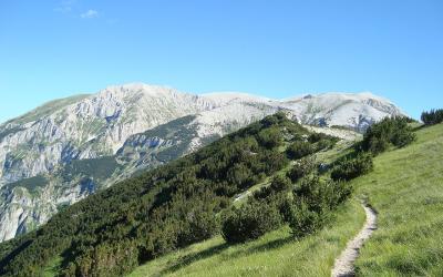A sunlit mountain landscape featuring a narrow dirt hiking trail winding up a grassy slope dotted with low evergreen shrubs, leading toward a prominent, rugged limestone mountain peak under a clear blue sky.