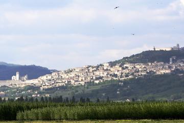 Assisi