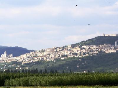 Assisi