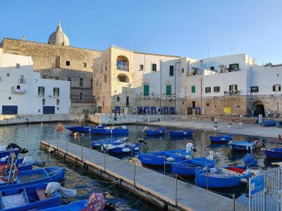 Monopoli