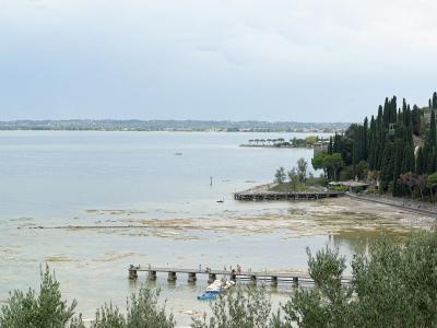 A wide-angle view of a lakeshore with wooden piers extending into shallow water, lined with tall cypress trees and greenery on the right bank, under an overcast sky.