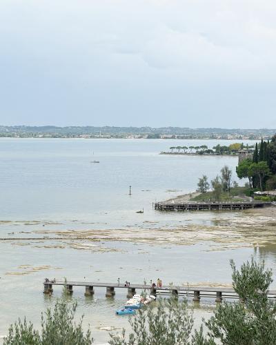 A wide-angle view of a lakeshore with wooden piers extending into shallow water, lined with tall cypress trees and greenery on the right bank, under an overcast sky.
