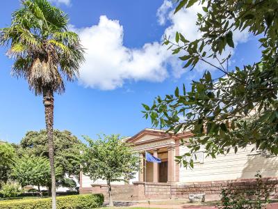A low-angle exterior shot of a neoclassical building with a pediment and columns, partially framed by a palm tree on the left and leafy branches on the right; visible text on the facade reads “MUSEO NAZIONALE G.A. SANNA” beneath the pediment, with