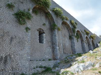 A low-angle view of a massive, ancient stone retaining wall built with *opus incertum* masonry, featuring a series of large arches and smaller rectangular openings, with vegetation growing from the top and crevices, situated on a rocky, grassy slo