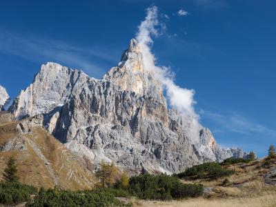 A high-angle view of the jagged, pale limestone peaks of the Cimon della Pala and Cima di Vezzana mountains rising above alpine meadows and sparse coniferous trees under a clear blue sky with a plume of cloud near the summit.