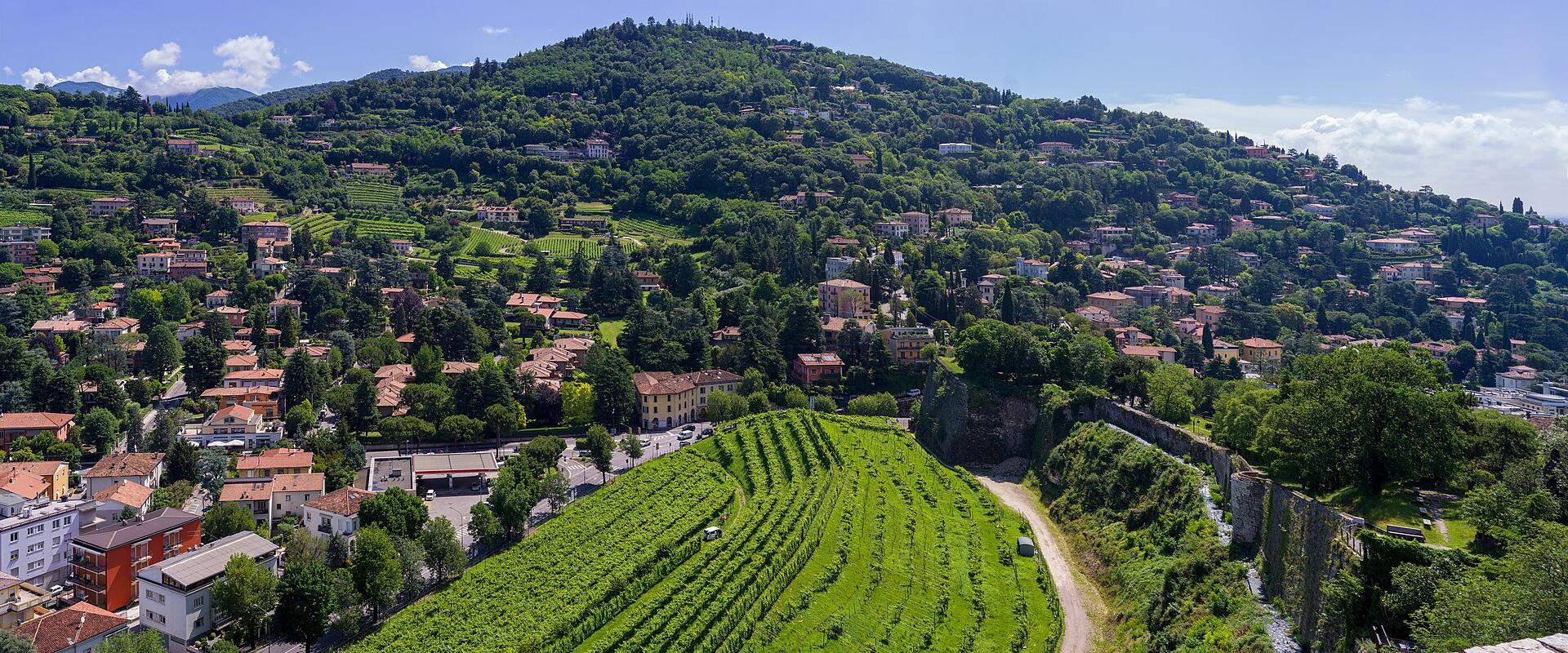Colle Cidneo Viewpoint