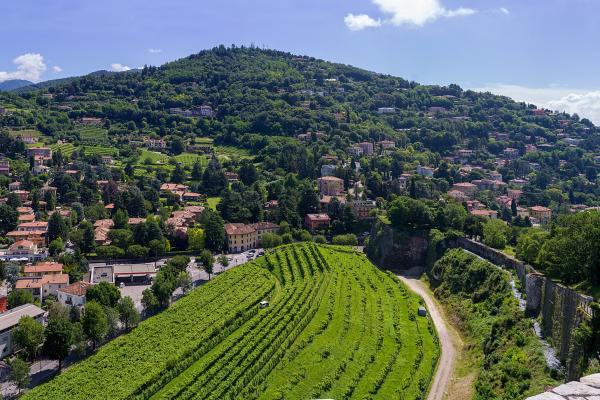 Colle Cidneo Viewpoint