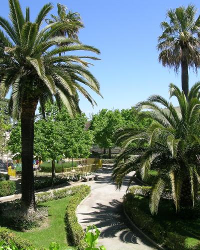 Palms in the Giardino Ibleo, Ragusa Ibla