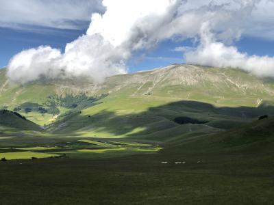 A wide landscape photograph showing rolling green alpine meadows and hills under a blue sky with large white clouds, with a prominent rocky mountain peak in the background and a small herd of white animals (likely sheep) grazing in the foreground.