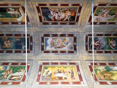A vaulted ceiling frescoed with multiple rectangular panels depicting mythological and allegorical scenes, framed by decorative borders and architectural elements, with vertical white cables or ropes running down the center.