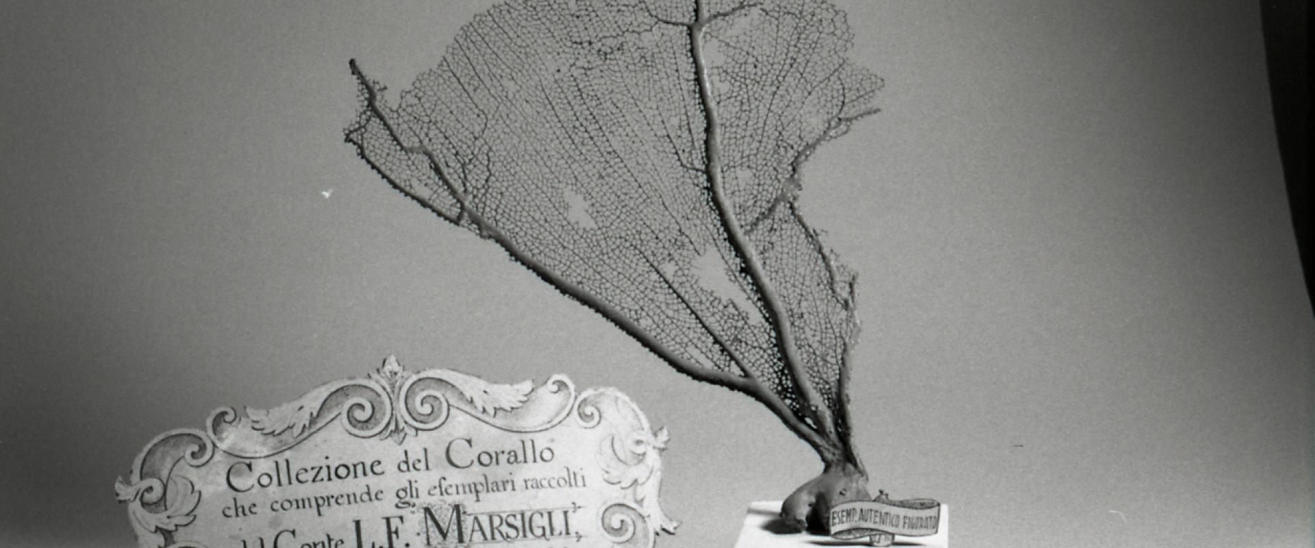 Museo Civico di Palazzo Marsigli