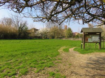 A grassy park area with a dirt path, a wooden information board on the right, and trees framing the view with buildings in the background.