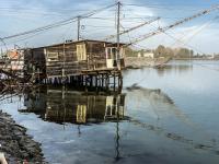 Laguna di Comacchio