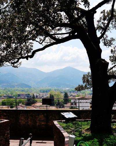 A view from a high stone terrace featuring a large tree growing in a brick planter, with two tourists looking out over the city of Lucca and distant mountains; a coin-operated binocular viewer is visible on the right.