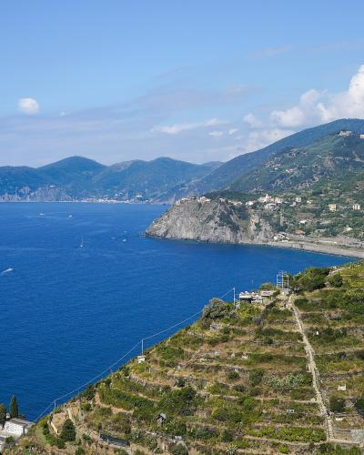 A scenic coastal landscape featuring terraced vineyards on a steep hillside in the foreground, overlooking a bay with a village nestled along the shore and distant mountains across the deep blue sea.