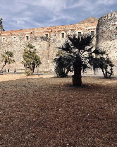 A low-angle exterior shot of a large medieval stone fortress with two prominent cylindrical corner towers, situated behind a dry grassy lawn with several palm trees under a partly cloudy sky.