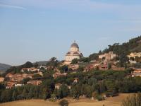 Todi