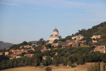 Todi