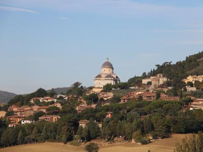 Todi