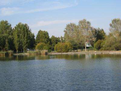 A scenic view of a park featuring a large pond or lake with reeds along the shore, surrounded by various trees and greenery under a blue sky.